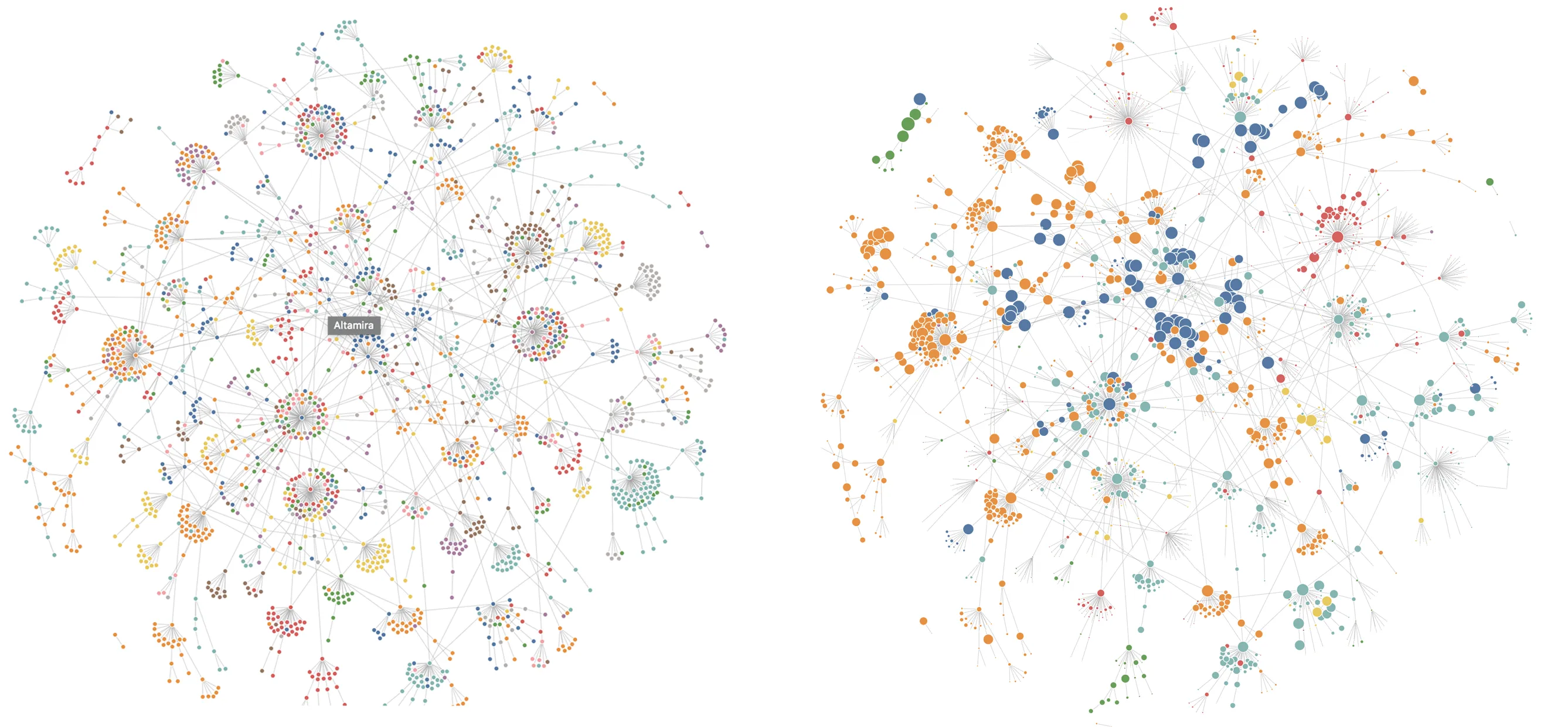 Seedings drawn as force-directed network graphs that resemble virus particles.