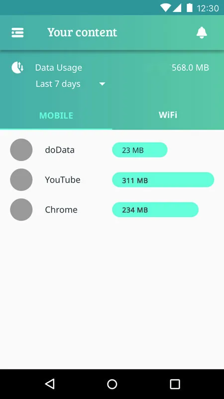 Screen mockup of data usage stats